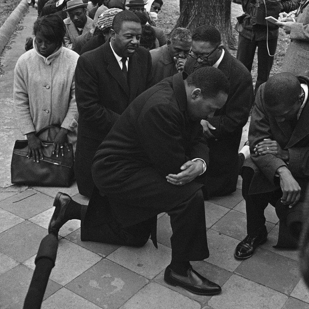 Meet your Posher, Liz